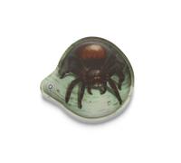 Ergobag Ergänzungsset LED Klettie Spinne