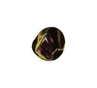 ergobag Wackel-Klettie Schlange (1-tlg.)