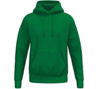 ERIMA Kapuzensweat TS Hoody (KE03028) 2XL Grün