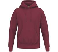 ERIMA Kapuzensweat TS Hoody (KE03028) 3XL new bordeaux
