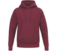 ERIMA Kapuzensweat TS Hoody (KE03028) M new bordeaux