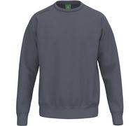 ERIMA Sweatshirt TS (KE03029) S Grau