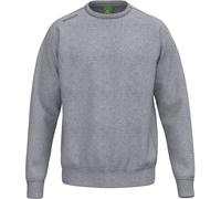 ERIMA Sweatshirt TS (KE03029) S Grau