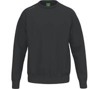 ERIMA Sweatshirt TS (KE03029) XS Grau