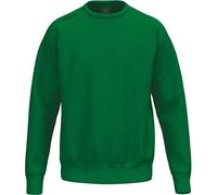 ERIMA Sweatshirt TS (KE03029) XS Grün