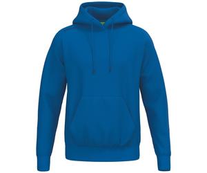 erima Teamsport Hoodie Kinder new royal 140