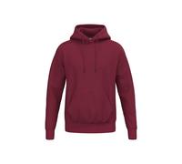 erima Teamsport Hoodie Herren new bordeaux XS