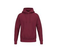 Erima TS Hoody Kinder - new bordeaux - 152