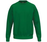 Erima Ts Sweatshirt Sweatshirt grün 152