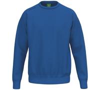 erima Unisex Pullover TS Sweatshirt 2072585 XS New Royal