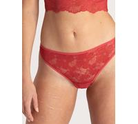 erlich textil Classy Lace Slip für Frauen aus Polyamid (recycelt) in granatapfel 46