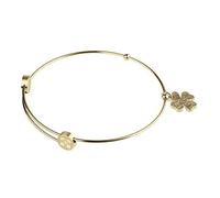 Ernstes Design Armreif Edelstahl A307 vergoldet mit Kleeblatt Armband