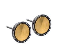 Ernstes Design Ohrringe E278 Edelstahl Stecker mattiert teilvergoldet Ohrstecker