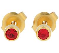 Erstohrstecker Chirurgenstahl vergoldet 4mm Sterile Ohrstecker Zarge mit Stein in rot