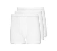 Esge Herren Hose kurz Lord Doppelripp 3er Pack Größe 7 (XL)