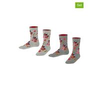 ESPRIT 2er-Set: Socken "Hedgehog" in Grau - Größe 27-30 | Babysocken Strumpfhosen