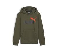 ESS+ 2 Col Big Logo Hoodie FL B DARK OLIVE 128 DARK OLIVE