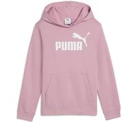 PUMA Girl's ESS No. 1 Logo Hoodie FL G Sweatshirt (Pack of 1)