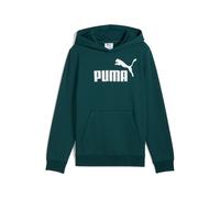 ESS No. 1 Logo Hoodie FL B Puma 164