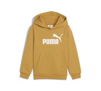 ESS No. 1 Logo Hoodie FL PS