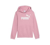 ESS No. 1 Logo Hoodie FL Puma 140