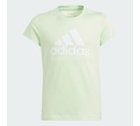 Essentials Big Logo Cotton T-Shirt Semi Green Spark / White 170