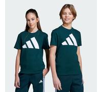 Essentials Kids T-Shirt Aurora Ivy / White 152