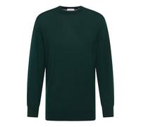 ETERNA Pullover Langarm Rundhals Merinowolle Strick Dunkelgrün Größe L