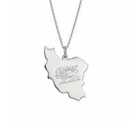 EUEAVAN Halskette mit Umriss der Iran-Karte Anhänger mit iranischer Flagge in Herzform Patriotisches Erbe, Stolz, Frieden - Persischer Schmuck und Souvenirgeschenke (B-Persischer Löwe, Silber)