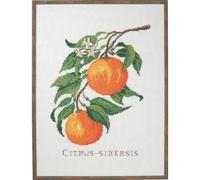 Eva Rosenstand Kreuzstich Set Citrus-senensis Zählmuster