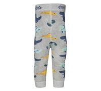 EWERS THERMO Babyleggings für Jungen Dino, MADE IN EUROPE, Innenfrottee Plüsch Leggings Kinderleggings Baumwolle