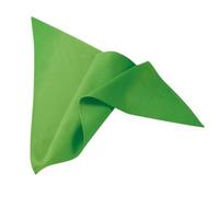 Exner 108 - Halstuch : lemon green 65% Polyester 35%Baumwolle 220 g/m² - grün 4251143937821