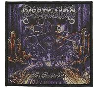 Extreme Metal Dissection: The Somberlain Patch Debut Album Art Sew-On Applique by Cool-Patches