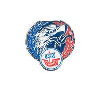 F.C. Hansa Rostock Pin „Greif“ - Offizieller Fußball Fanartikel - Metall Anstecknadel für Fans - Hansa Rostock Merch & Geschenkidee - Vereinslogo Badge