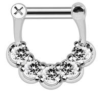 F?nf CZ Stein Floral Blume 316L Chirurgenstahl 14 Gauge Clicker Septum Nase Piercing Ring Schmuck
