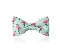 FAFIGO "Tubbs", Herren Fliege in Türkis mit pinken Flamingos