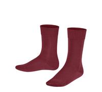 FALKE Accessories Strümpfe & Strumpfhosen black ruby - Gr. - 32.5