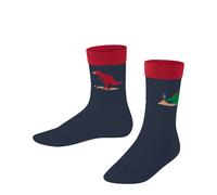 Falke Kinder Socken Dinosaurs 10354-6116 27-30 Space Blue