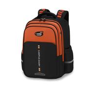 FANDARE Ergonomischer Schulrucksack Mädchen Junge - Wasserdichter Schulranzen mit Vielen Fächern Leichte Schultasche Reflektierender Rucksack mit Brustgurt für die Grundschule Braun