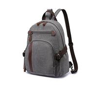 FANDARE Vintage Rucksack Leinwand Schulrucksack Schulranzen Daypacks Laptop Rucksack Herren Damen Schultaschen für 12.9 Zoll Laptop Universität Wandern Reisen Freizeit Arbeit Tagesrucksack Grau