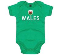 FanShirts4u Länder Baby Body - WALES - inkl. Druck Name & Nummer EM WM Trikot (0-3 Monate, Grün/WALES)