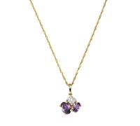 Fascination by Ellen K. Anhänger mit Kette »375/- Gold Amethyst«, gelb
