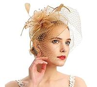 Fascinator Damen, Fascinator Damen Hut Vintage Mesh Federn Kopfbedeckung für Tea Party Hochzeit Cocktail Schleier Kopfschmuck Retro Feder Tee Party Frauen Kirche Haarschmuck Stirnband