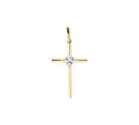 FAVS Anhänger 89219082