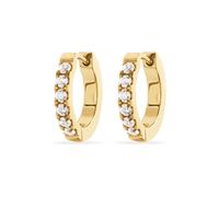 FAVS Creolen 88589726