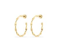 FAVS Creolen 88589947