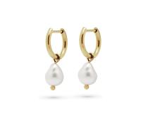 FAVS Creolen 89019389