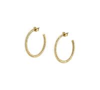 FAVS Creolen 89148758