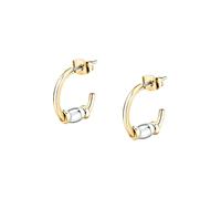 FAVS Creolen 89148871