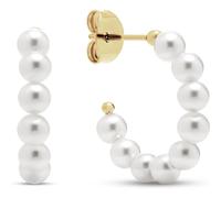 FAVS Creolen 89019486